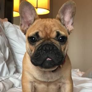 Meet your Posher, Wendy